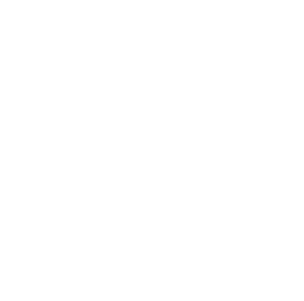 SAIDSA